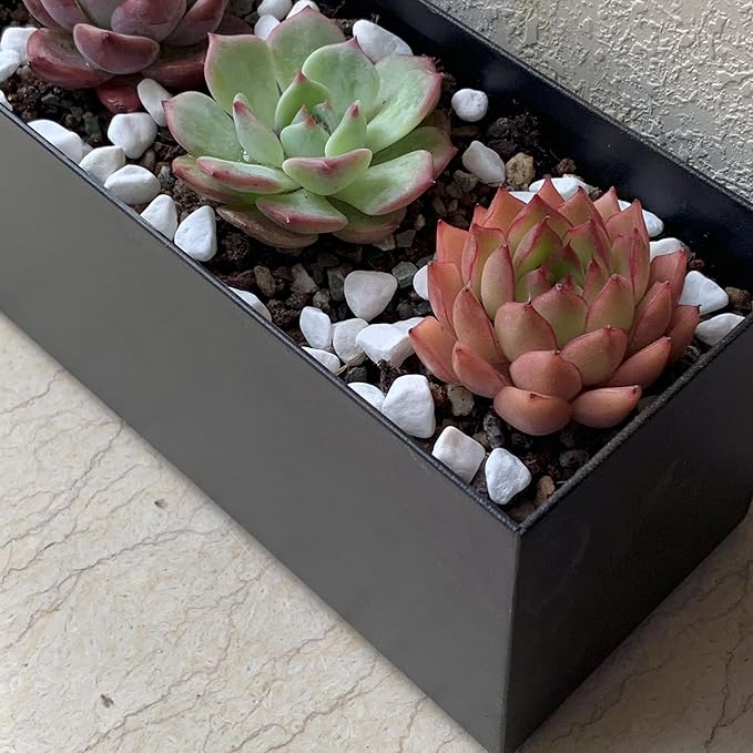 Modern Metal Steel Trough Planter - Rectangle Black Planters for Indoor - 16" Window Sill Planters - Table or Window Boxes Planter - Windowsill Herb(1pc Short Black)