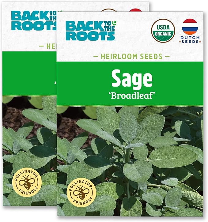 Back to The Roots 100% Organic Heirloom Seeds - Sage Value Pack (280mg Total)