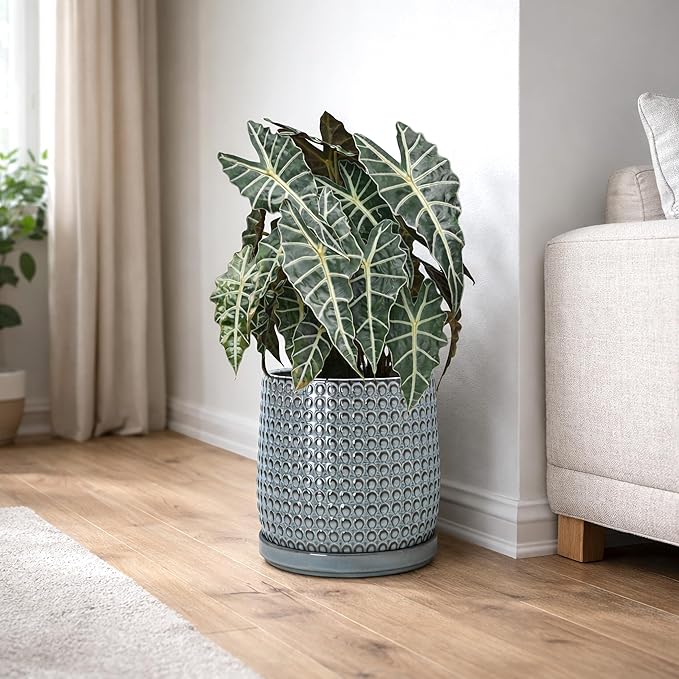 D'vine Dev 10 Inch Ceramic Beaded Stoneware Planter Pot - Flower Pot with Drainage Holes and Saucers for Indoor Succulent Plants or Flowers, Graphite Blue, 27-C-P-9