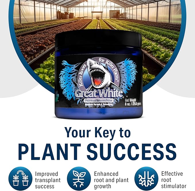 Great White Mycorrhizal Fungi, Beneficial Bacteria for Plant Growth, Root Stimulator, Concentrated 3-in-1 Formula by Plant Success (32 oz)