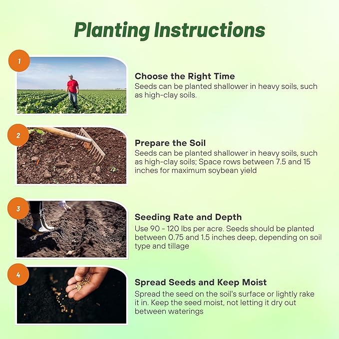 Outsidepride Soybean Seeds - 50 lbs High-Protein & High Yield Heirloom Variety Soy Beans, Ideal for Oil Processing, Forage, Animal Food Plots, & Wildlife Feed for Poultry & Other Farm Animals