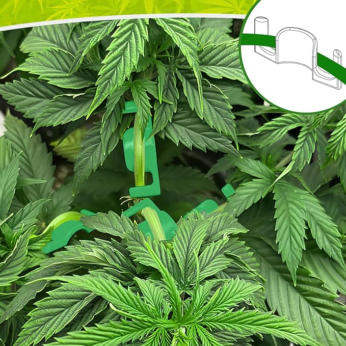 40 Pack LST Plant Training Clips – Durable & Reusable Stem Support for Low-Stress Training – Fits All Growth Stages