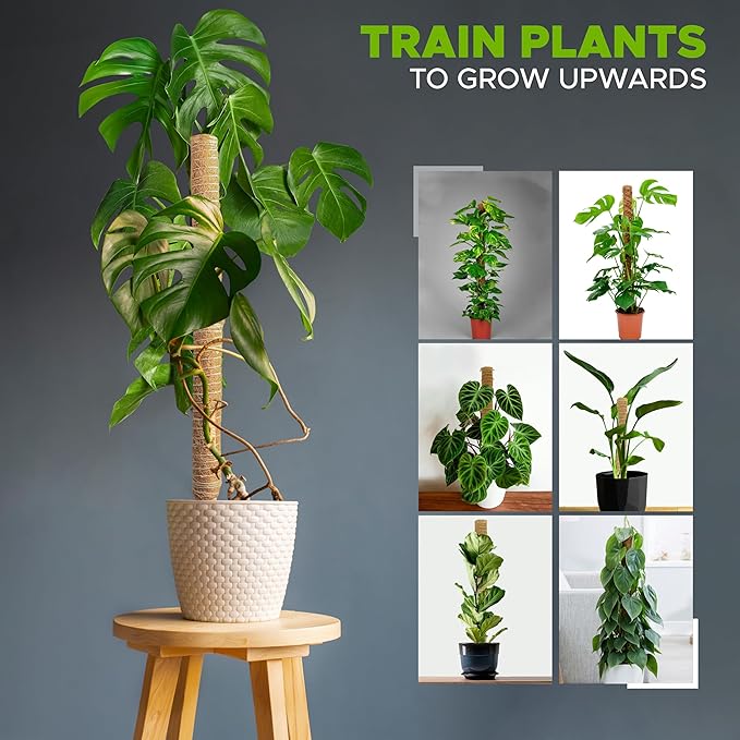 EcoNour 60.5" (4 Pcs - 16" & 2 Pcs - 12") Stackable Moss Pole for Monstera Plant Support | Moss Pole Sticks for Indoor Plants | Supports for Garden Climbing Plant Stakes, Creepers with Tie Accessory