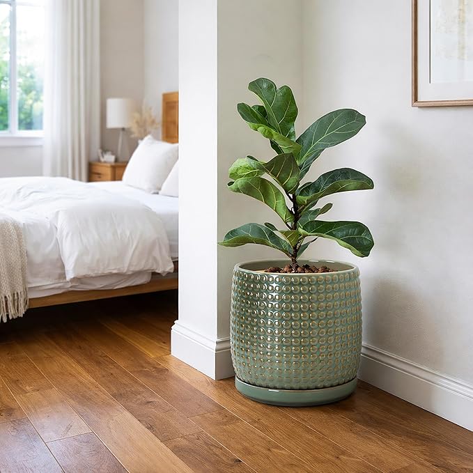 D'vine Dev 8 Inch Ceramic Beaded Stoneware Planter Pot - Flower Pot with Drainage Holes and Saucers for Indoor Succulent Plants or Flowers, Olive, 27-C-Q-0