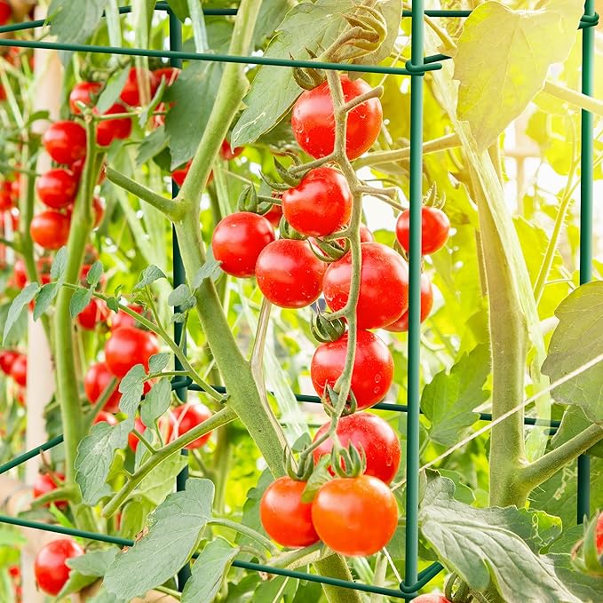Tomato Cages 6 Packs 46 Inches (H) Plant Stand with 164 Feet Twist Ties, Heavy Duty Garden Plants Support for Tomatoes, Cucumber, and Other Climbing Plants (Green)