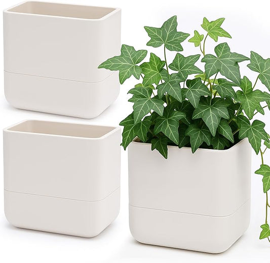 Phoenix Vine 6.5-Inch Wall Mounted Self-Watering Planter Pot for Indoor Houseplants and Herbs | Hanging Planter for Window Sills, Bathroom Walls, Home & Office Décor, Oatmeal, Set of 3, 01-WP-D-3