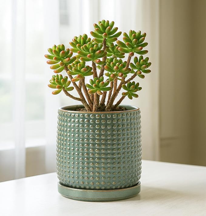 D'vine Dev 6 Inch Ceramic Beaded Stoneware Planter Pot - Flower Pot with Drainage Holes and Saucers for Indoor Succulent Plants or Flowers, Olive, 27-C-X-0