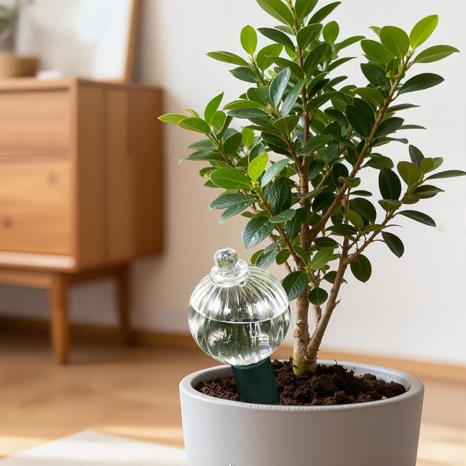 12 oz Plant Watering Globes Top Fill, Clear Glass Water Bulbs with Terracotta Spikes Stake, Vacation Slow Release Self Watering Planter Insert, Automatic Drip Device, 4 Pack