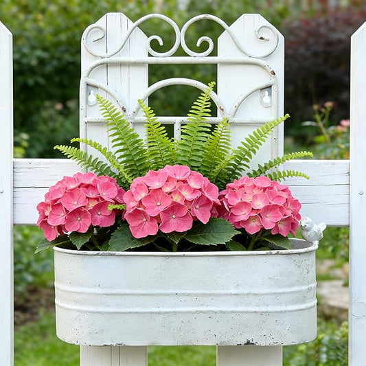 Rustic Metal Wall Planter Vintage Wall Mounted Flower Pot Distressed Wall Hanging Plant Basket Farmhouse Wall Decor for Indoor Outdoor Garden Home Yard (White)