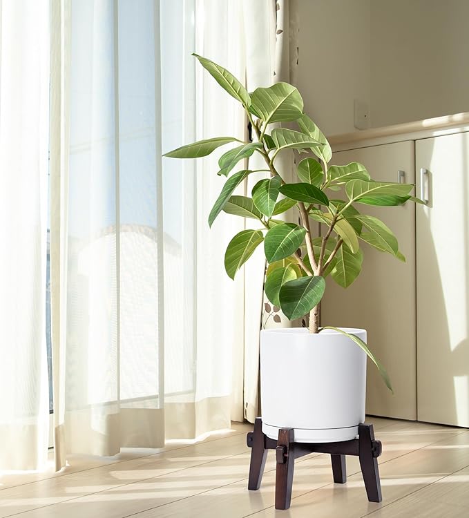 D'vine Dev Ceramic Planter with Wood Stand - 10 Inch Mid Century Modern Cylinder Indoor Plant Pot Set for Indoor Plants & Flowers, White, 55-A-X-1