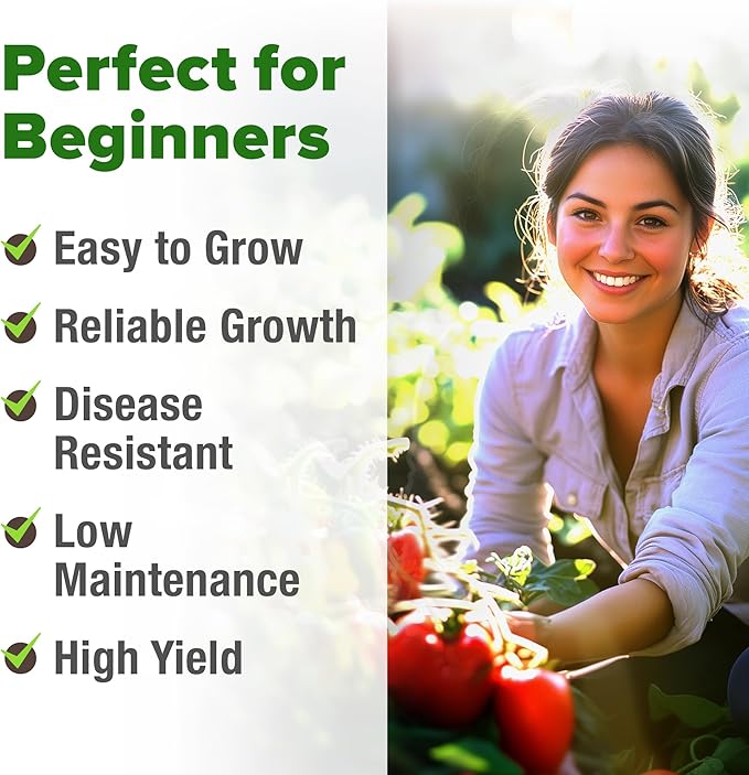 HOME GROWN San Marzano Tomato Seeds 66 Heirloom, High Germination Tomatoes for Indoor & Outdoor Growing Classic Paste Variety for Gardeners & Home Use