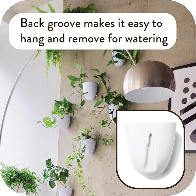 Make Good PlantPod Luxe - Self-Watering Wall Planters (Set of 6) - Easy to Water and Install - Lightweight - Design Your Own Vertical Garden - Wall Planters for Indoor Plants