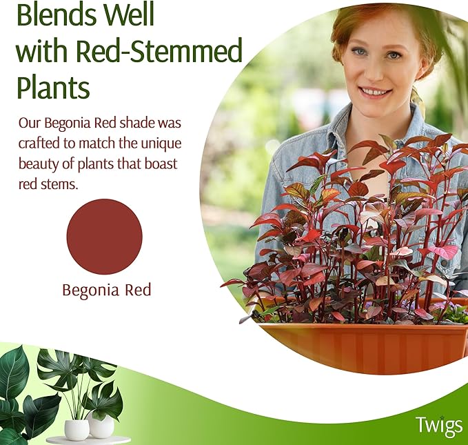 Twigs GA - Plant Support Stakes for Indoor & Outdoor Use, Durable Trellis Alternative for Climbing & Potted Plants, Houseplant Stem Holder Structures - Begonia Red, 10 Pack, 22" L, Original