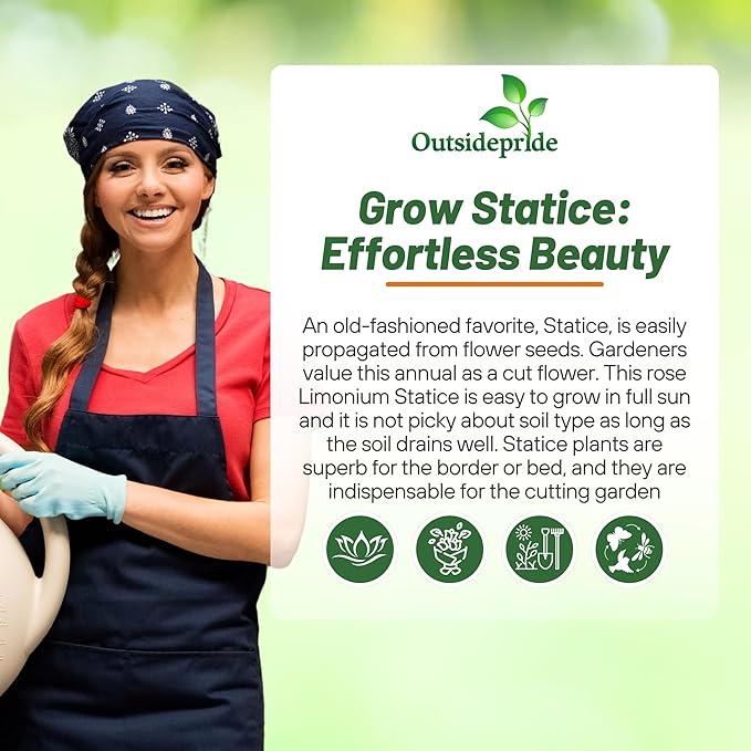 Outsidepride Rose Statice Flower Seeds - 1000 Pcs Annual Easy to Grow Drought Tolerant Flower Seeds for Floral Arrangements, Borders, & Pollinator Garden