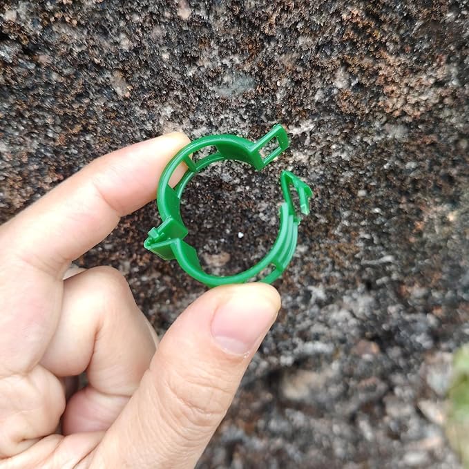 Plant Support Clips, 100 Pcs Tomato Clips, Plastic Trellis Clips, Grape Vine Tomato Vine Vegetables Plants Garden Support Clips to Grow Upright Makes Plants Healthier