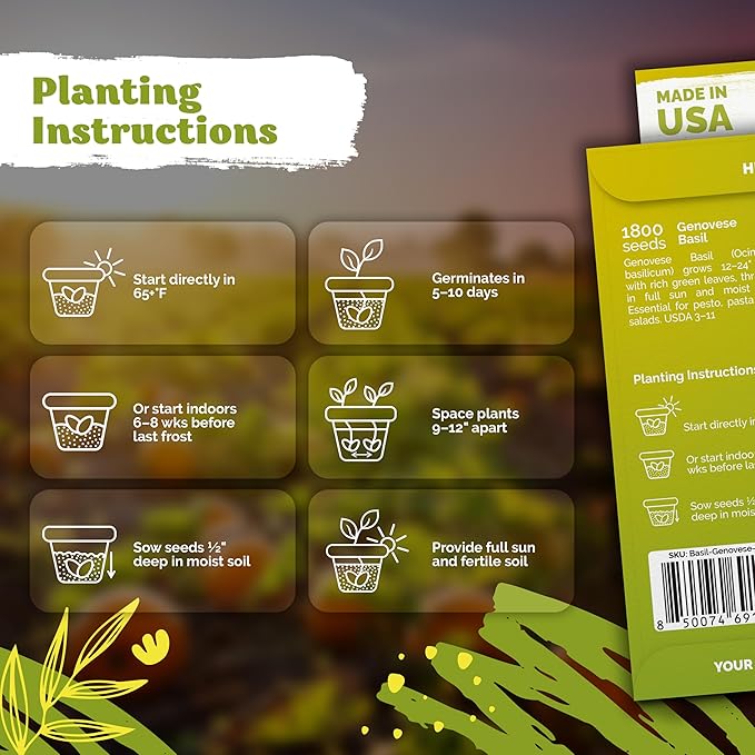 KVITER 1800 Genovese Basil Seeds for Planting (Ocimum basilicum) - Classic Savory Sweet Italian Basil - Non GMO & Heirloom Seeds for Kitchen Herb Garden, Containers & Beds, Indoors/Outdoors