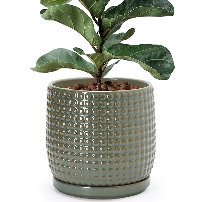 D'vine Dev 8 Inch Ceramic Beaded Stoneware Planter Pot - Flower Pot with Drainage Holes and Saucers for Indoor Succulent Plants or Flowers, Olive, 27-C-Q-0