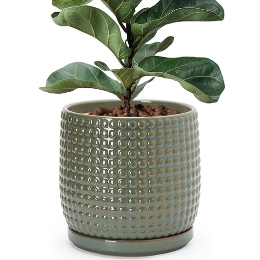 D'vine Dev 8 Inch Ceramic Beaded Stoneware Planter Pot - Flower Pot with Drainage Holes and Saucers for Indoor Succulent Plants or Flowers, Olive, 27-C-Q-0