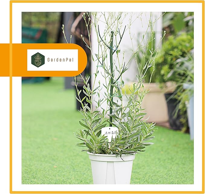 GardenPal 27.56" 6 Pack Detachable Twig Plant Support Stakes, Branch Sticks with Orchid Clips and Twist Ties, Blends with Plants - Ideal Plant Stakes for Indoor/Outdoor Use