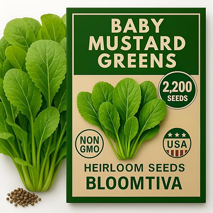 Bloomtiva 2200 Baby Mustard Greens Seeds for Planting - CAI Xanh an Non - Super Fast Harvest - Heirloom 𝗡𝗢𝗡-𝗚𝗠𝗢 Mustard Seed - High Germination Rate – Grown in USA (Brassica juncea)