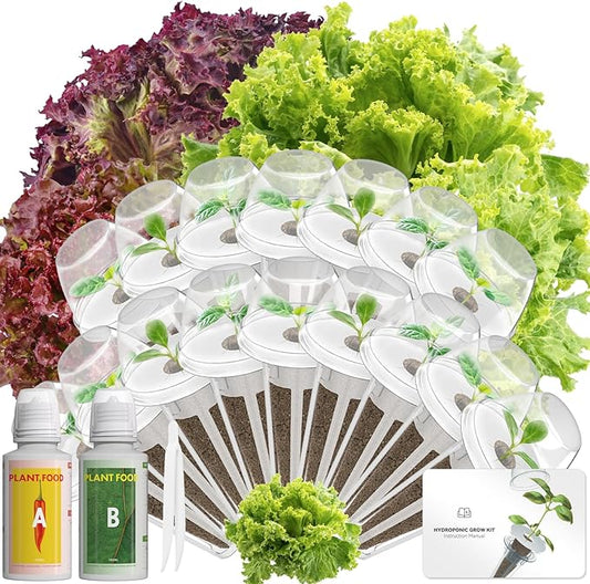 Red Romaine Lettuce Seed Pod Kits for AeroGarden, Ahopegarden, iDOO Hydroponics Growing System Indoor Herb Garden, 400+ Seeds, Including American Fast Lettuce, Red Romaine Lettuce(16-Pods)