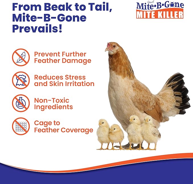 Mite Killer Spray - 1 Gal Natural Mite Treatment Kills Human, Dust, Chicken, Poultry, Bird, Carpet & Rat Mites in Homes and Farm | Family & Pet Safe by Mite-Be-Gone