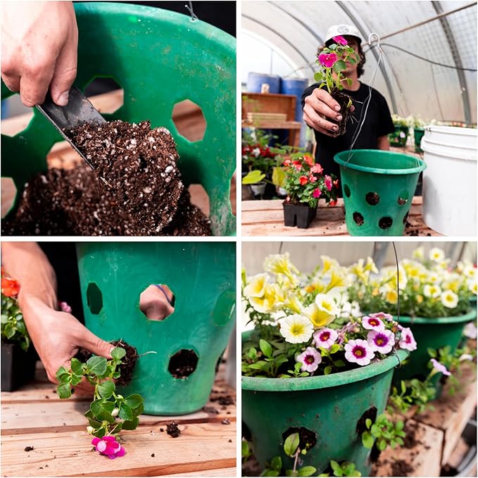Bloom Master Hanging Baskets - 2 Gallon (48 Pack Bulk) - Hanging Planters for Outdoor Plants - Use as a Hanging Flower Basket, Strawberry Planter, Herb Planter, More - Hanging Pots for Plants Outdoor