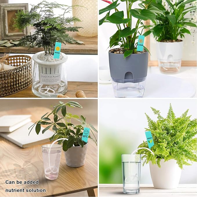 Augshy 1/6 Inches Self Watering Wick Cord String Cotton Rope for DIY Plant Automatic Watering Device (40 Feet)