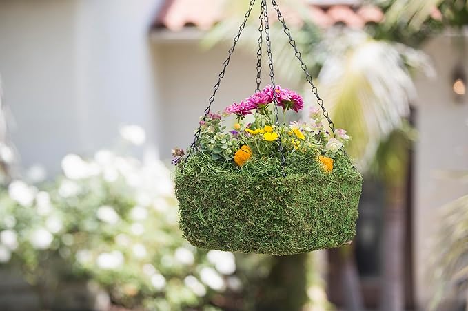 SuperMoss (29211) MossWeave Hanging Basket - Square, Fresh Green, Medium (12.5" Diameter)