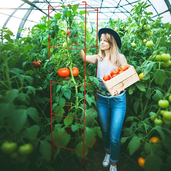 Tomato Cages 6 Packs 57 Inches (H) Plant Stand with 164 Feet Twist Ties, Heavy Duty Garden Plants Support for Tomatoes, Cucumber, and Other Climbing Plants (Red)