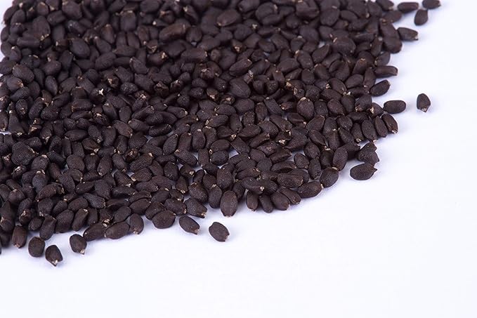 Vegetable and Herb Seeds Variety Pack for Home Garden Planting, AB