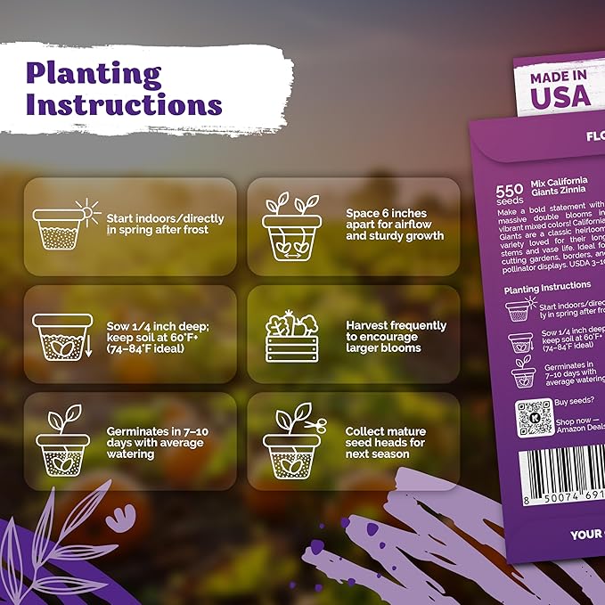 KVITER 550 California Giant Zinnia Seeds for 2025 (Zinnia Elegans) – Heirloom & Non GMO Double Blooms, Pollinator Magnet – Ideal Flower Seeds for Planting in Garden, Containers, Cutting Beds