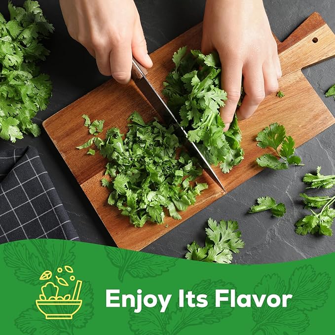 Cilantro Seeds for Planting - 100+ Heirloom, Non-GMO Seeds - Herb Seeds Packet for Plating Home Garden, Herb Garden - Indoor/Outdoor, Easy to Grow