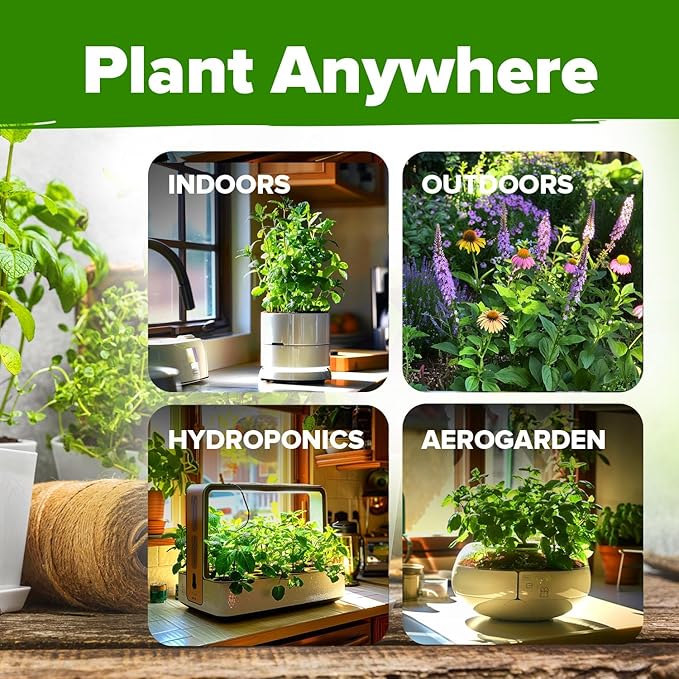 HOME GROWN Medicinal Herb Seeds Vault – 2,000+ Seeds, 6 Non GMO Heirloom Varieties for Indoor & Outdoor Garden – Lavender, Chamomile,Mint,Lemon Balm,Peppermint,Echinacea +Garden Markers