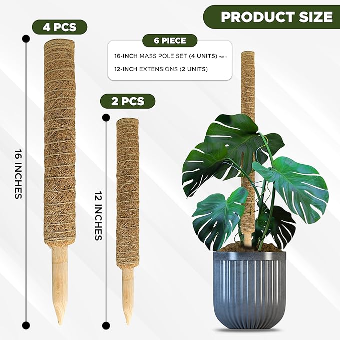 EcoNour 60.5" (4 Pcs - 16" & 2 Pcs - 12") Stackable Moss Pole for Monstera Plant Support | Moss Pole Sticks for Indoor Plants | Supports for Garden Climbing Plant Stakes, Creepers with Tie Accessory