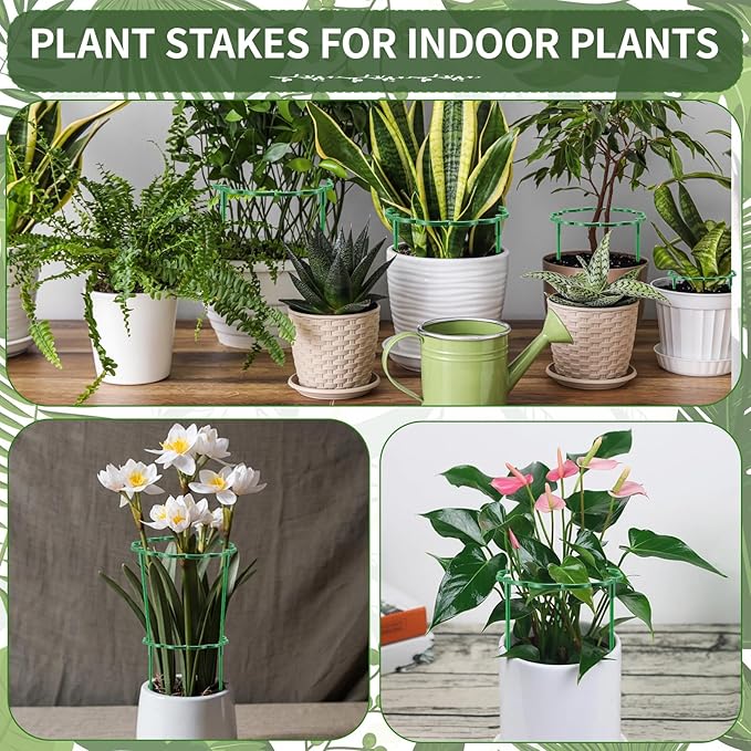 Moiggonoy 24 Pack Plant Support Stakes Sets - Versatile Plant Cages, Stackable Garden Flower Support， Small Plant Stakes for Indoor Plants,Tomato,Monstera, Peony, Hydrangea, Climbing Plants
