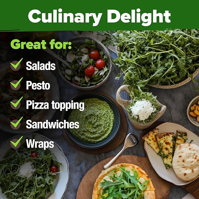 HOME GROWN Non GMO Arugula Roquette Seeds Pack 2,175 Heirloom Arugula Seeds for Planting Best for Outdoor Gardens,Providing Fast-Growing Greens for Salads - Eruca vesicaria