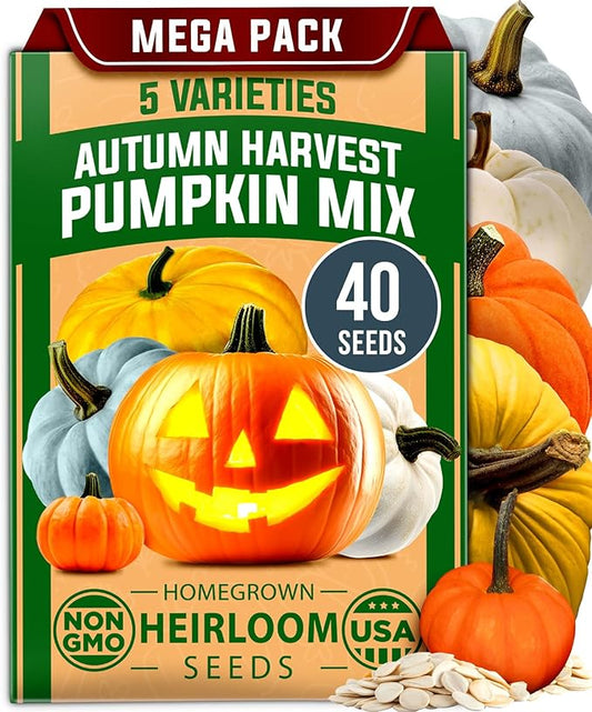 HOME GROWN Non GMO 5 Pumpkin Seeds Mix - 40 Seeds Heirloom Pumpkin for Planting Ideal Garden for Unique Varieties Yellow Paris and Casper, Culinary and Decorative Use