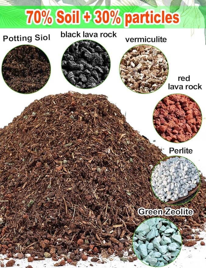TOYPOPOR Succulent Soil, Cactus Potting Mix 3.75 Pounds/3QTS, High Drainage, Pre-Mixed Ready to Use for All Succulent Varieties, Indoor Plants, Bonsai, Terrarium, Houseplant, 30% Particles 70% Soil