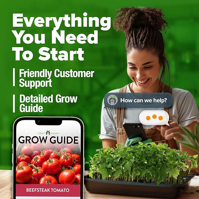 HOME GROWN Beefsteak Tomato Seed Pack - 300 Heirloom Tomato Seeds for Planting Outdoors High-Yield Non-GMO Vegetable Seeds for Growing Large, Meaty Tomatoes for Summer Dishes (Solanum lycopersicum)