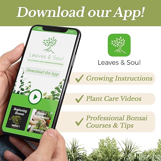 Leaves and Soul Hibiscus Professional Liquid Fertilizer - Complete 3-5-4 Nutrient Blend Concentrate for Enhanced Blooming & Growth - Perfect for Garden & Indoor Plants, New & Improved Blend - 8 oz