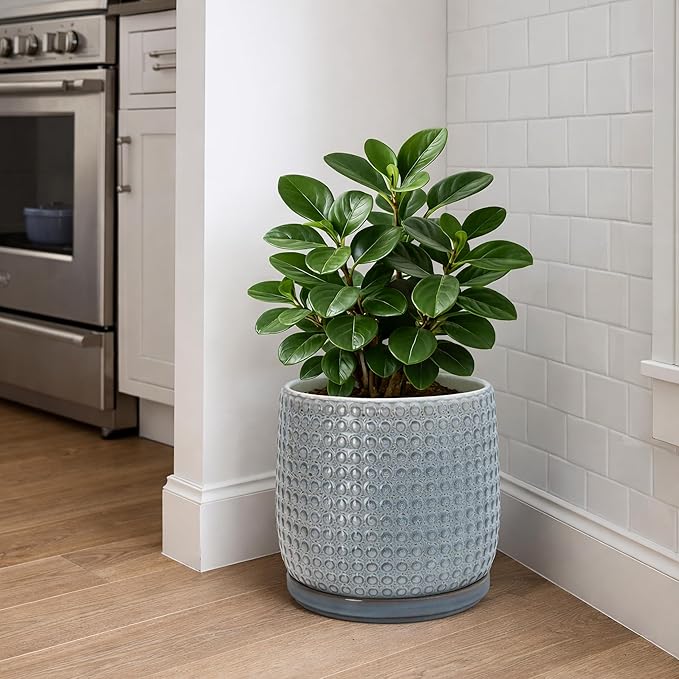 D'vine Dev 8 Inch Ceramic Beaded Stoneware Planter Pot - Flower Pot with Drainage Holes and Saucers for Indoor Succulent Plants or Flowers, Graphite Blue, 27-C-Q-9