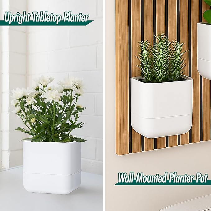 Phoenix Vine 6.5-Inch Wall Mounted Self-Watering Planter Pot for Indoor Houseplants and Herbs | Modern Hanging Planter for Window Sills, Bathroom Walls, Home & Office Décor, White, Set of 3, 01-WP-W-3