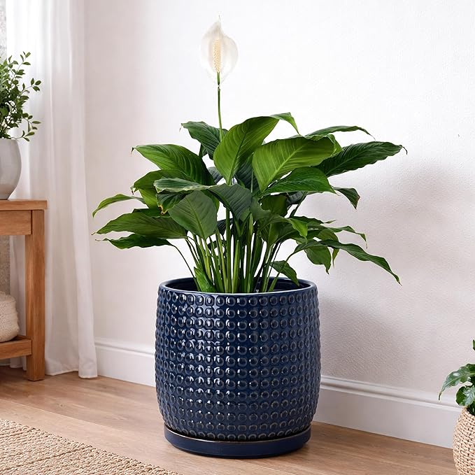 D'vine Dev 8 Inch Ceramic Beaded Stoneware Planter Pot - Flower Pot with Drainage Holes and Saucers for Indoor Succulent Plants or Flowers, Midnight Blue, 27-C-Q-3