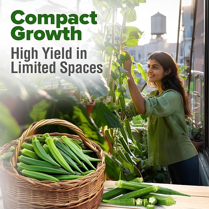 HOME GROWN Non GMO Clemson Spineless Okra Seeds 101+ Heirloom Vegetable Seeds for Planting Easy to Grow Outdoor Summer Garden High Germination Rate (Abelmoschus esculentus)