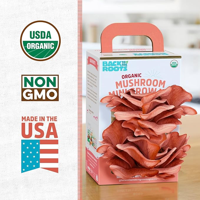Back to The Roots Organic Pink Miniature Mushroom Grow Kit, Harvest Gourmet Mushrooms in 10 Days
