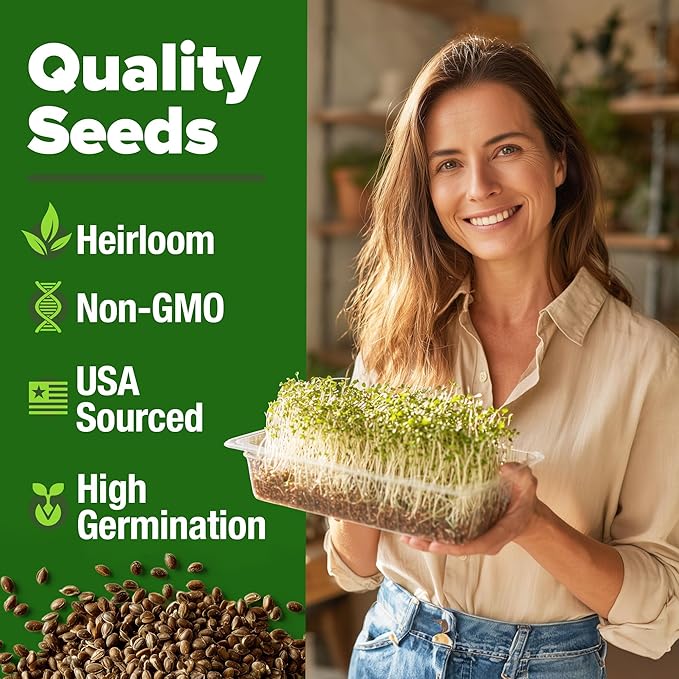 HOME GROWN Non GMO Alfalfa Sprout Seeds 16oz Bulk Pack with Thousands of Seeds Alfalfa for Sprouting & Microgreens Indoor Outdoor Growing Resealable Bag High Germination
