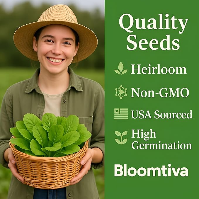 Bloomtiva 2200 Baby Mustard Greens Seeds for Planting - CAI Xanh an Non - Super Fast Harvest - Heirloom 𝗡𝗢𝗡-𝗚𝗠𝗢 Mustard Seed - High Germination Rate – Grown in USA (Brassica juncea)