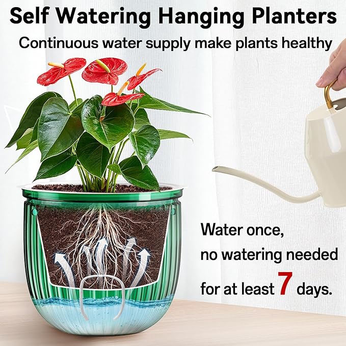 Halatool 2 Pack Hanging Planters Indoor Plant Pots, 6.5" & 8.3" Self Watering Hanging Basket Flower Pot, Translucent Plant Hanger with Drainage Holes for Garden Home Wall Decor (Peacock Green)
