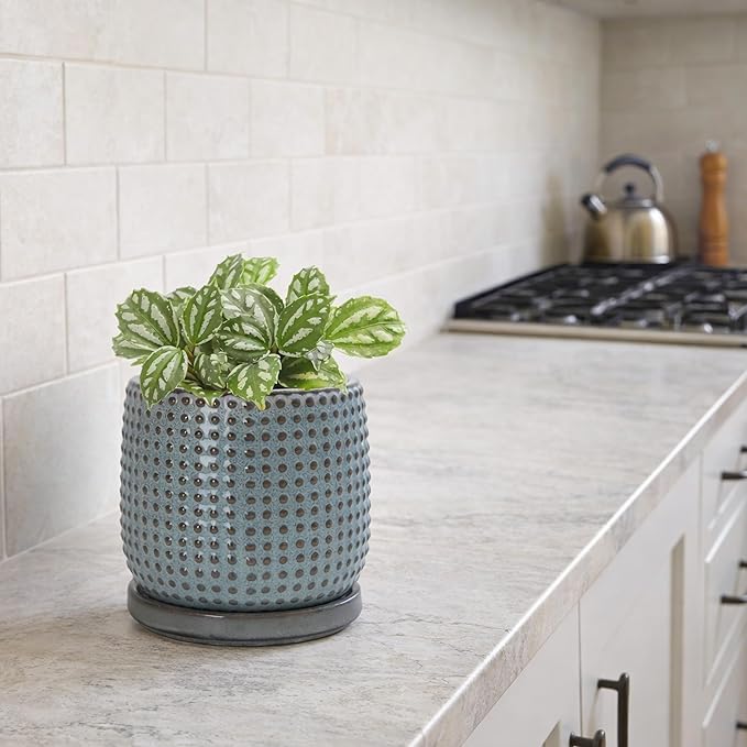 D'vine Dev 4 Inch Ceramic Beaded Stoneware Planter Pot - Flower Pot with Drainage Holes and Saucers for Indoor Succulent Plants or Flowers, Graphite Blue, 27-C-Z-9